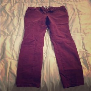 Maroon pants